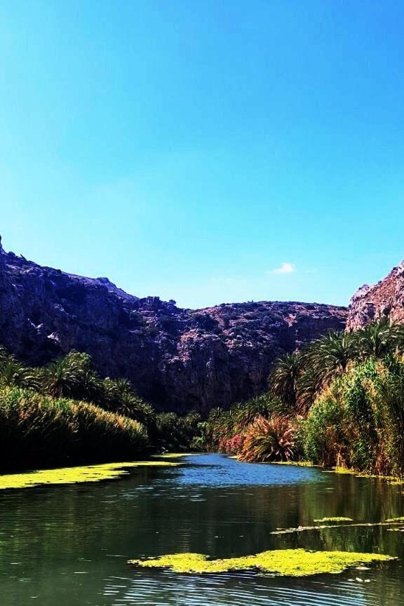 Varsamos Yianniou Bagian luar foto